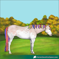 Horse Color:Painted White Spotted Silver Bay Ice Dun Splash 