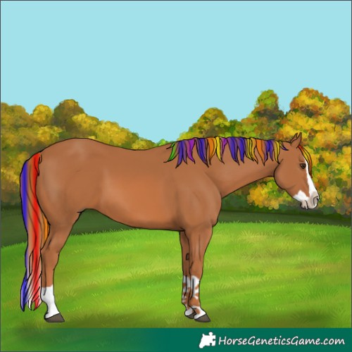 Horse Color:Painted Chestnut Splash