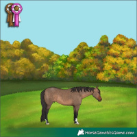 Horse Color:Brown Dun