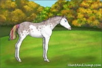 Horse Color:Painted Chocolate Silver Brown Ice Roan Splash 