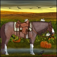Horse Color:Chocolate Brown Roan 