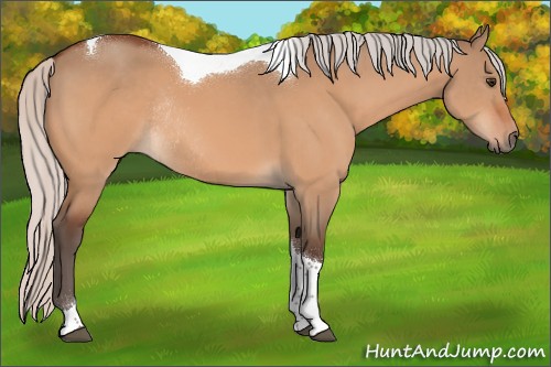 Horse Color:Silver Bay Dun Tobiano Rabicano 