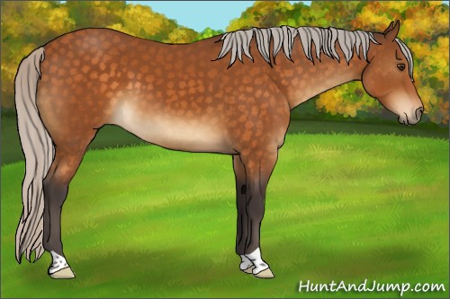 Horse Color:Silver Buckskin 
