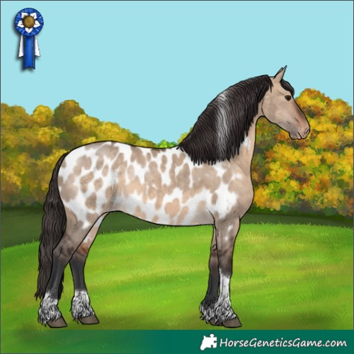 Horse Color:Brown Dun Tobiano Appaloosa Rabicano 