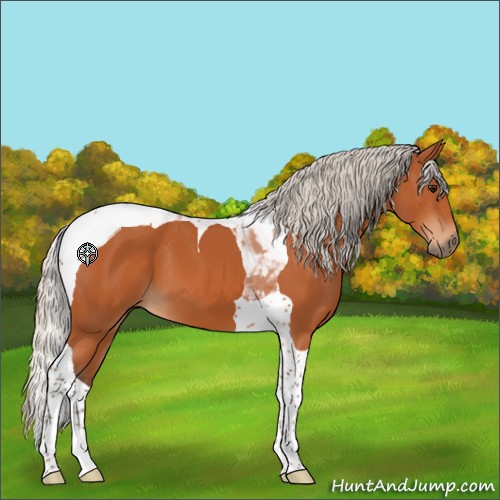 Horse Color:Silver Bay Tobiano 