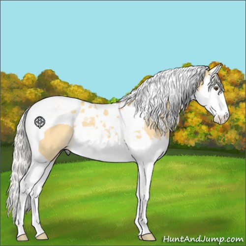 Horse Color:Silver Buckskin Dun Splash Tobiano 