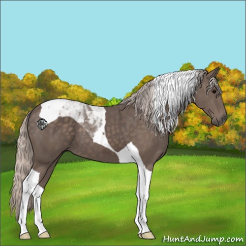 Horse Color:Silver Black Tobiano 