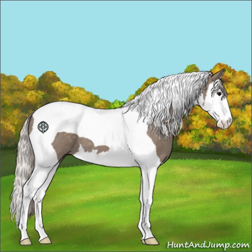 Horse Color:Silver Grullo Splash Tobiano 