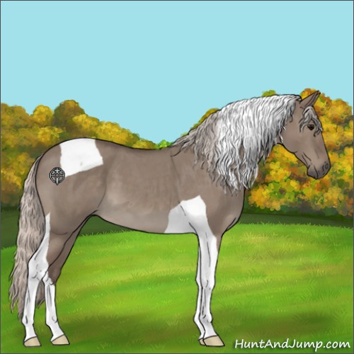 Horse Color:Silver Grullo Roan Tobiano 