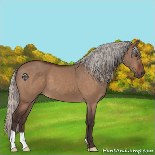 Horse Color:Silver Brown Dun 