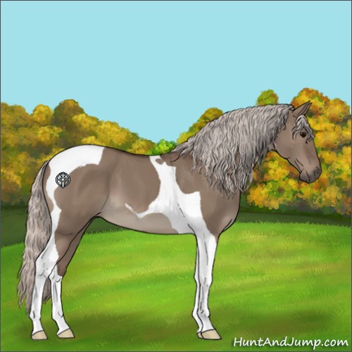 Horse Color:Silver Grullo Tobiano 