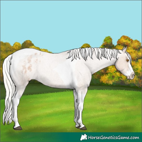 Horse Color:Silver Blue Roan Pearl Splash Tobiano Varnish