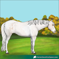 Horse Color:Silver Blue Roan Pearl Splash Tobiano Varnish 