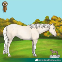 Horse Color:Silver Amber Cream Champagne Pearl Tobiano 