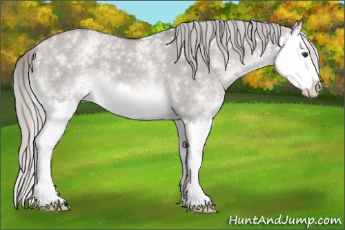 Horse Color:Platinum White Spotted Chocolate Palomino Dun Splash 
