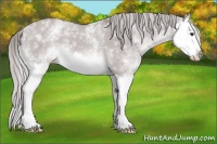 Horse Color:Platinum White Spotted Chocolate Palomino Dun Splash 