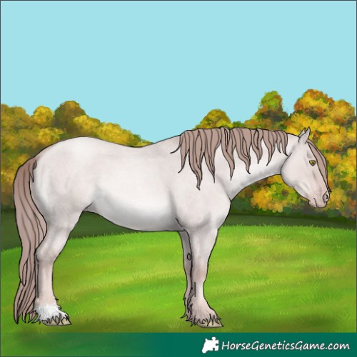 Horse Color:Platinum Gold Champagne Roan Dun 
