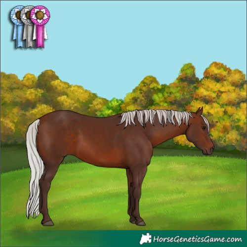 Horse Color:Silver Brown 