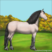 Horse Color:Platinum Bay