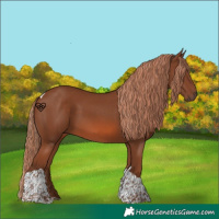 Horse Color:Chestnut Tobiano 