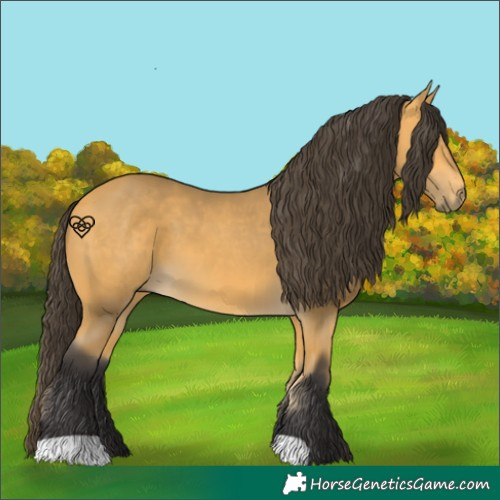 Horse Color:Buckskin 
