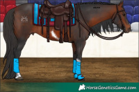 Horse Color:Bay Tobiano 