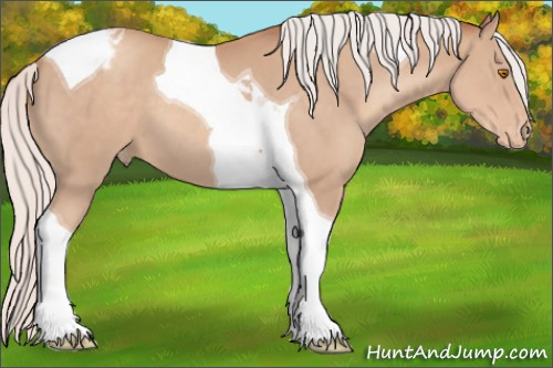 Horse Color:Silver Classic Champagne Tobiano Appaloosa 