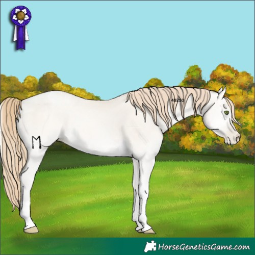 Horse Color:Smoky Grullo Pearl Onyx Tobiano 