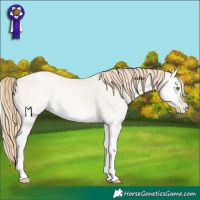 Horse Color:Smoky Grullo Pearl Onyx Tobiano 