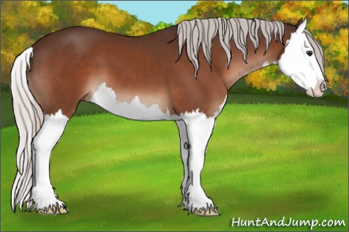 Horse Color:Silver Brown Splash 
