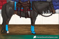 Horse Color:Liver Chestnut Tobiano 