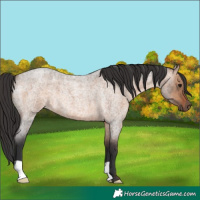 Horse Color:Brown Roan Dun 