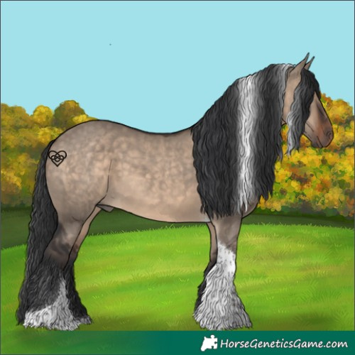 Horse Color:Brown Dun Tobiano 