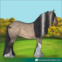 Horse Color:Brown Dun Tobiano 
