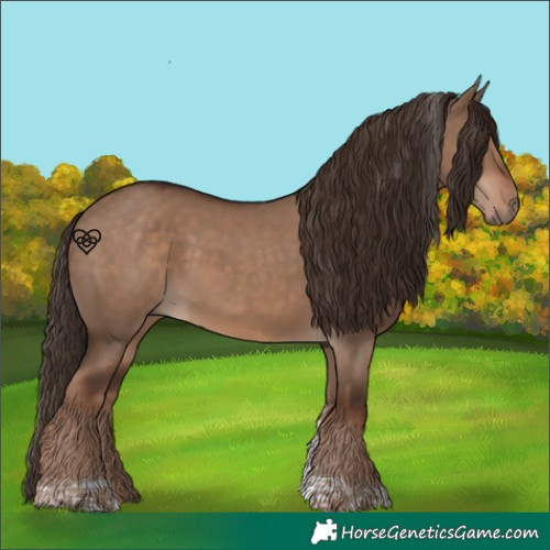 Horse Color:Liver Red Dun Tobiano