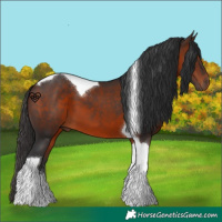 Horse Color:Brown Tobiano 