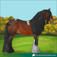 Horse Color:Brown Tobiano 