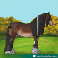 Horse Color:Bay Tobiano Rabicano 