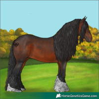 Horse Color:Brown Tobiano 