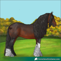 Horse Color:Brown Tobiano 