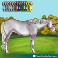 Horse Color:Watercolor Silver Brown Pearl Onyx Sabino