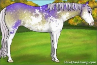 Horse Color:Watercolor Silver Smoky Blue Onyx Sabino Appaloosa Rabicano 