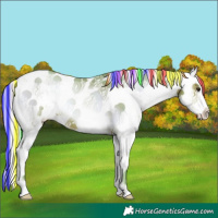 Horse Color:Painted Watercolor Silver Brown Pearl Onyx Sabino Rabicano 