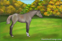 Horse Color:Silver Grullo