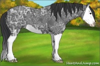 Horse Color:Black Ice Splash 