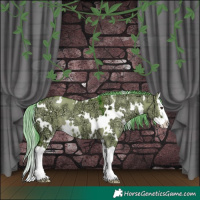 Horse Color:Watercolor White Spotted Liver Red Dun Ice Mushroom Splash 