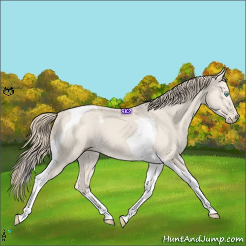 Horse Color:Smoky Creme Dun Tobiano