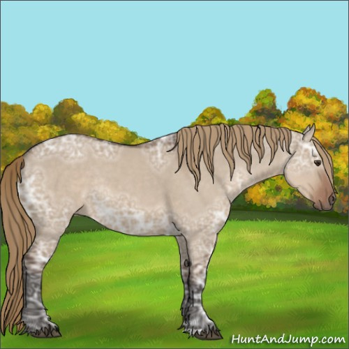 Horse Color:Liver Red Dun Ice Rabicano 