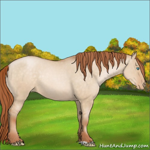 Horse Color:Buckskin Pearl Dun Appaloosa Rabicano 