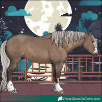 Horse Color:Silver Grullo 